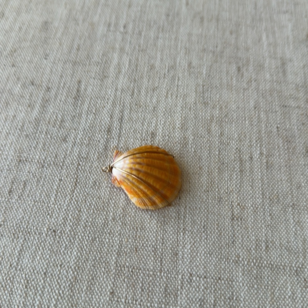 Sunrise sea shell - Picture 4 of 7